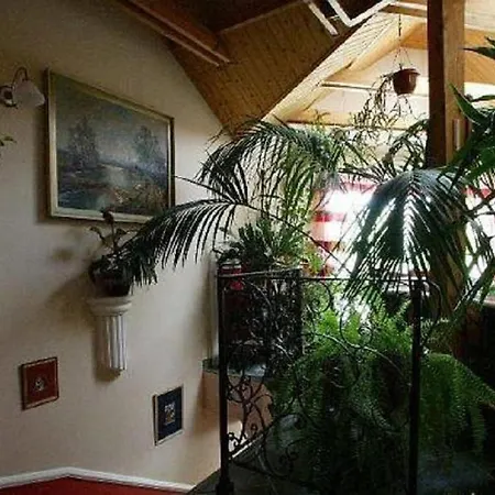 Studio Sunflower * Bük